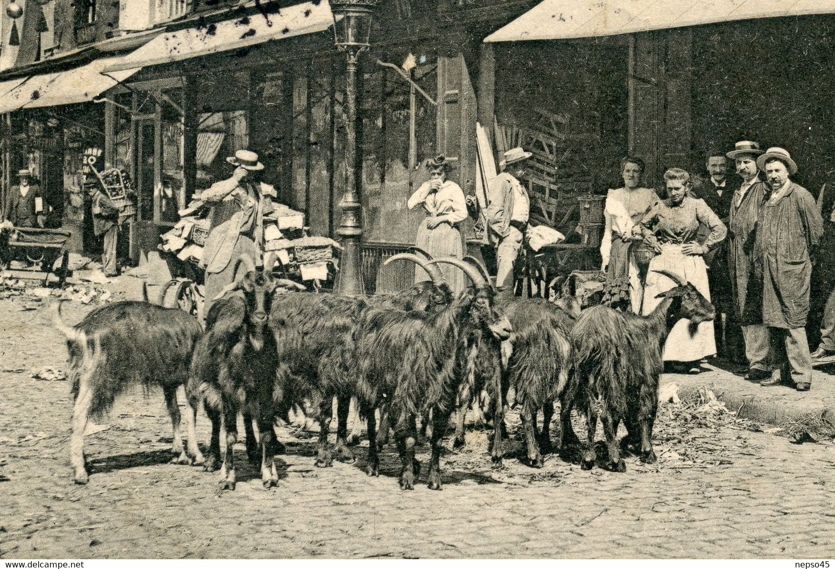 Paris Vécu.métier.un Chèvrier Dans Une Rue De Paris.le Lait à Domicile.carte écrite En 1907 - Petits Métiers à Paris