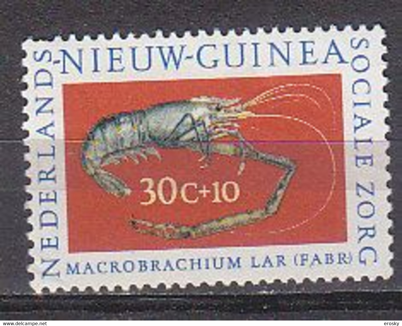 R0428 - NOUVELLE GUINEE NEERLANDAISE Yv N°76 ** - Niederländisch-Neuguinea