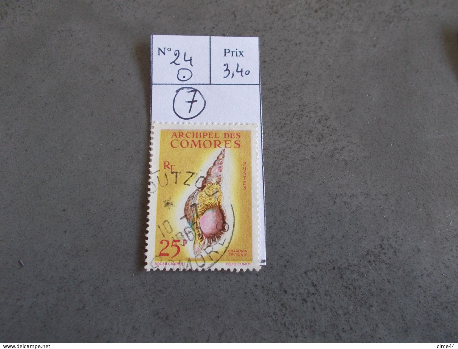 TIMBRE COMORES.N°24.OBL.CATALOGUE YVERT.COQUILLAGE. - Used Stamps