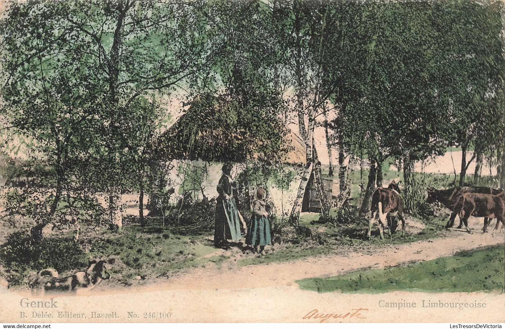 CPA - Belgique - Genck - Campine Limbourgeoise - Edit. B. Délée - Précurseur - Colorisé - Oblitéré Hasselt 1903 - Genk