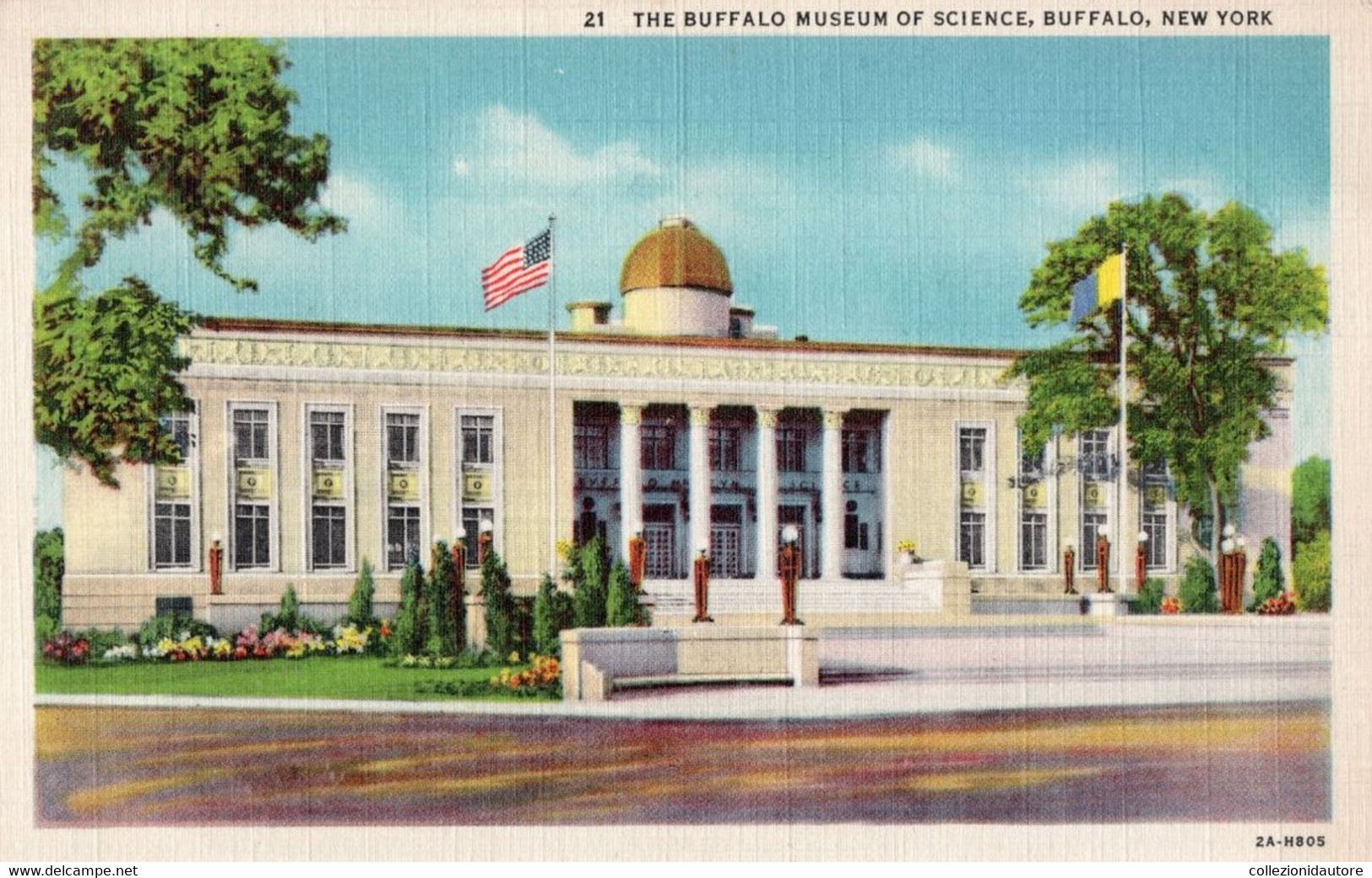 BUFFALO - THE BUFFALO MUSEUM OF SCIENCE - BUFFALO - NEW YORK - CARTOLINA FP SCRITTA - Buffalo