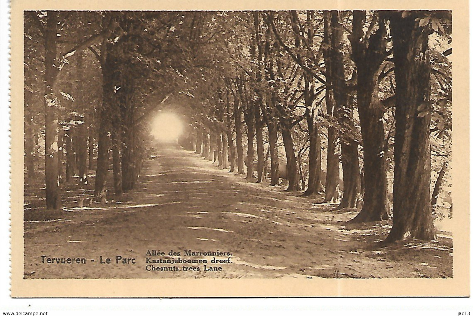 L120D968 - Tervueren - Le Parc - Allée Des Marronniers - Tervuren