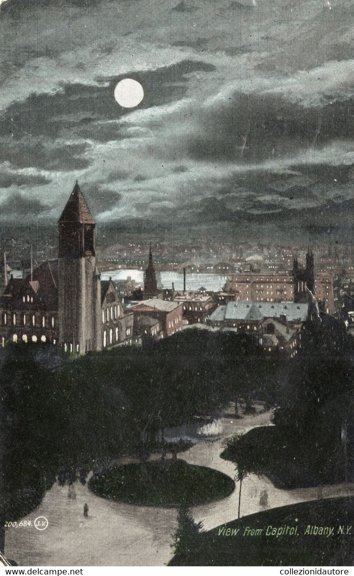 ALBANY - VIEW FROM CAPITOL - ALBANY - N.Y - CARTOLINA FP SPEDITA NEL 1908 - Albany