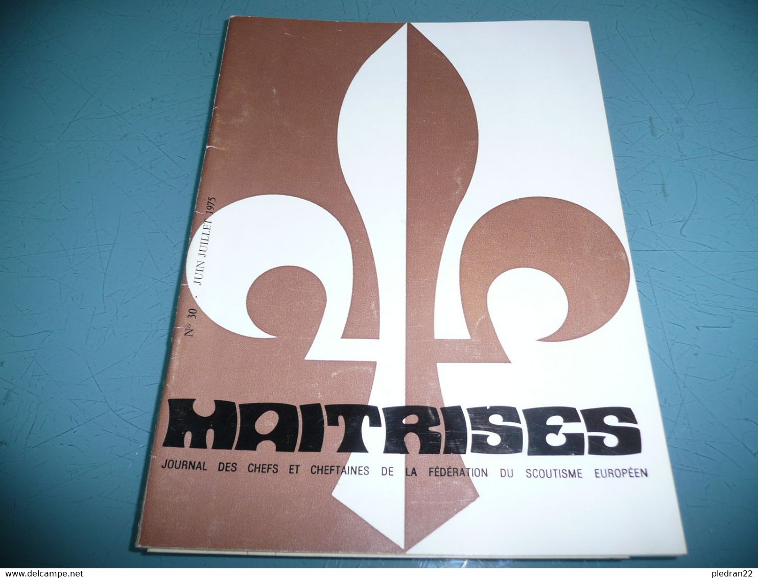 CHEFS ET CHEFTAINES SCOUTISME GUIDE REVUE MAITRISE SCOUTS D'EUROPE N° 30 JUIN JUILLET 1975 - Altri & Non Classificati