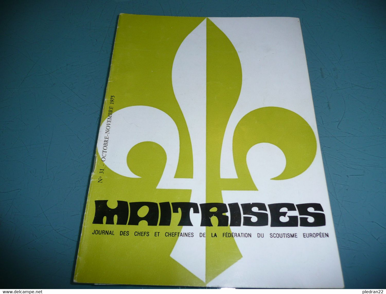 CHEFS ET CHEFTAINES SCOUTISME GUIDE REVUE MAITRISE SCOUTS D'EUROPE N° 31 OCTOBRE NOVEMBRE 1975 - Other & Unclassified