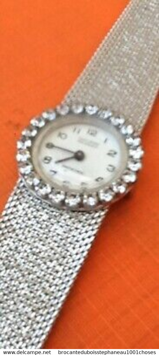 Vuillemin Regnier ​​​​​​​Montre Femme Bracelet Maille Milanaise Mouvement Mécanique - Montres Haut De Gamme