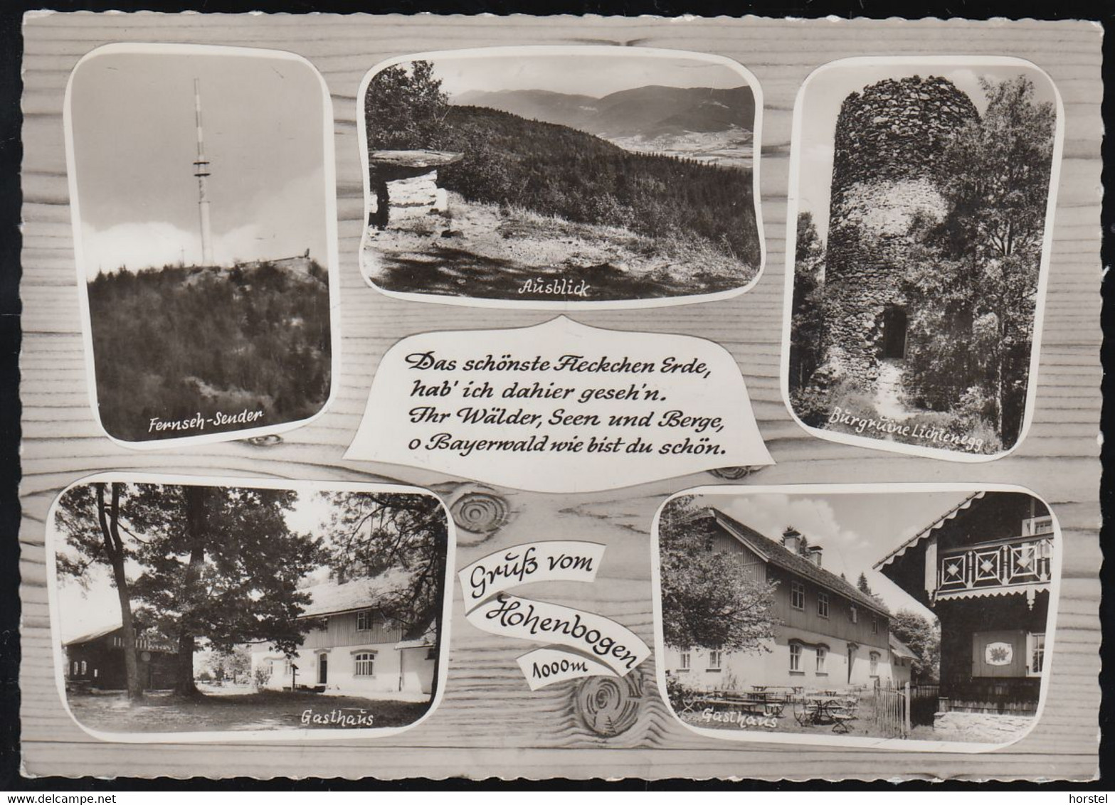 D-93485 Rimbach - Gasthaus Am Hohen Bogen - Sender Burgstall - Burgruine Lichtenegg - Cham