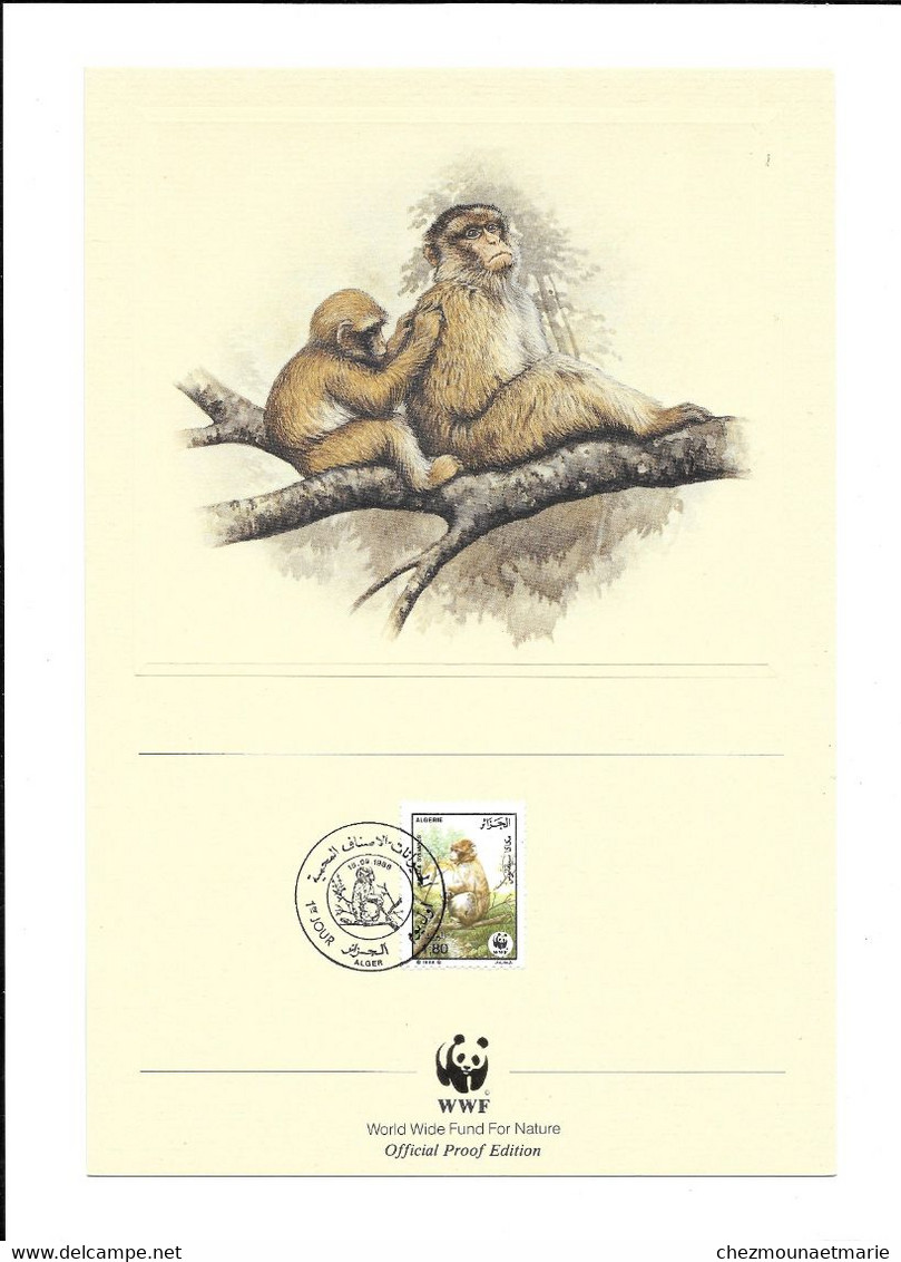 N°4 1988 ALGERIE WWF 1ER JOUR ALGER MACAQUE AVEC ILLUSTRATION 27 CM * 18 CM - Algeria (1962-...)