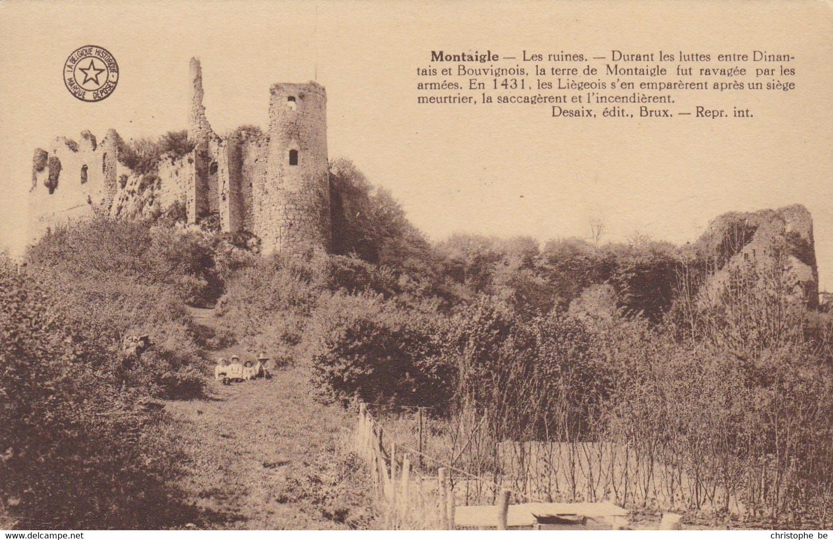 Montaigle, Les Ruines (pk84860) - Onhaye