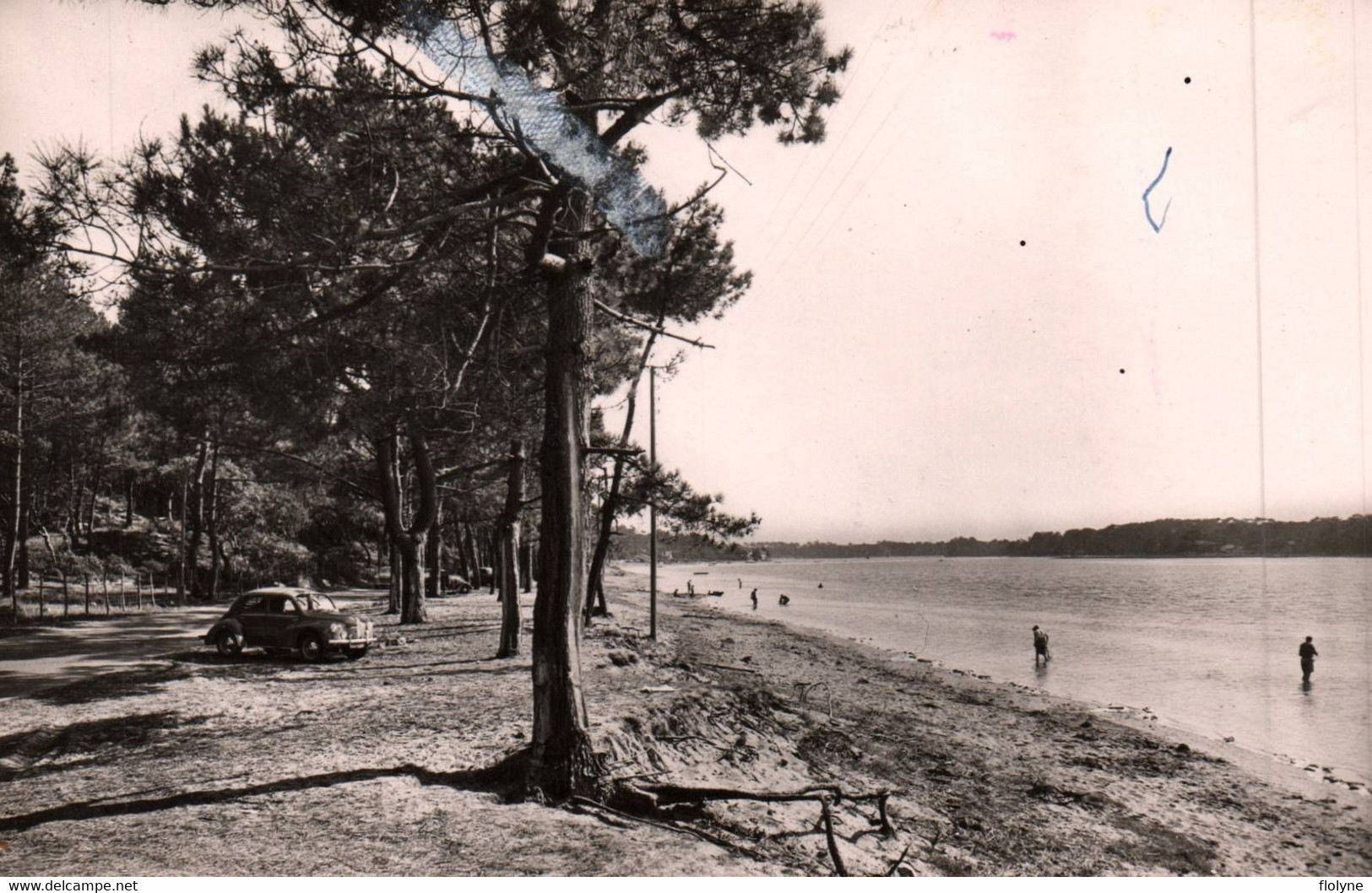 Hossegor - Le Lac Et La Forêt - Hossegor