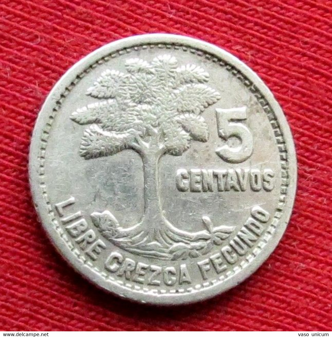 Guatemala 5 Centavos 1950 - Guatemala