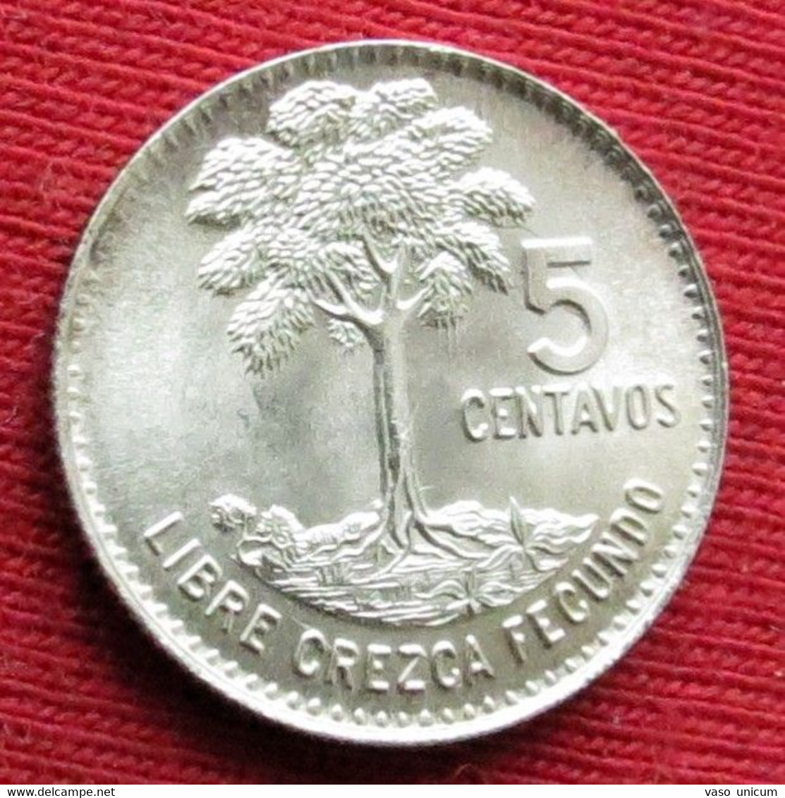 Guatemala 5 Centavos 1964 - Guatemala