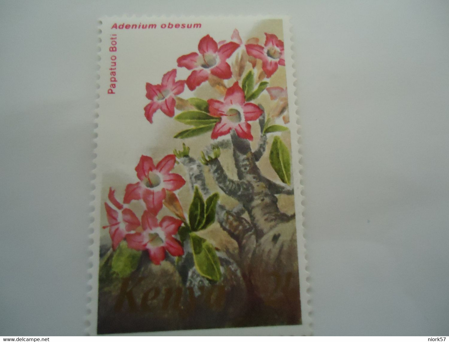 KENYA    MNH STAMPS  FLOWERS - Kenia (1963-...)