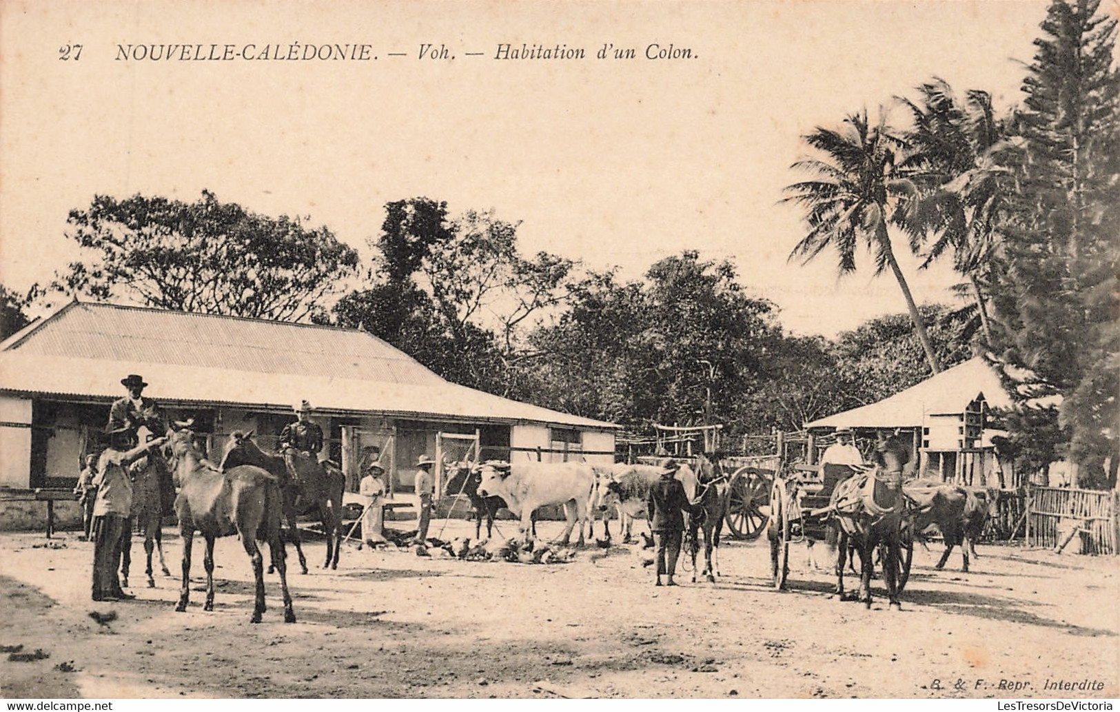 CPA - Nouvelle Calédonie - Voh - Habitation D'Un Colon - B. Et F. - Animé - Cheval - Vache -Palmier - Charette - Nouvelle-Calédonie