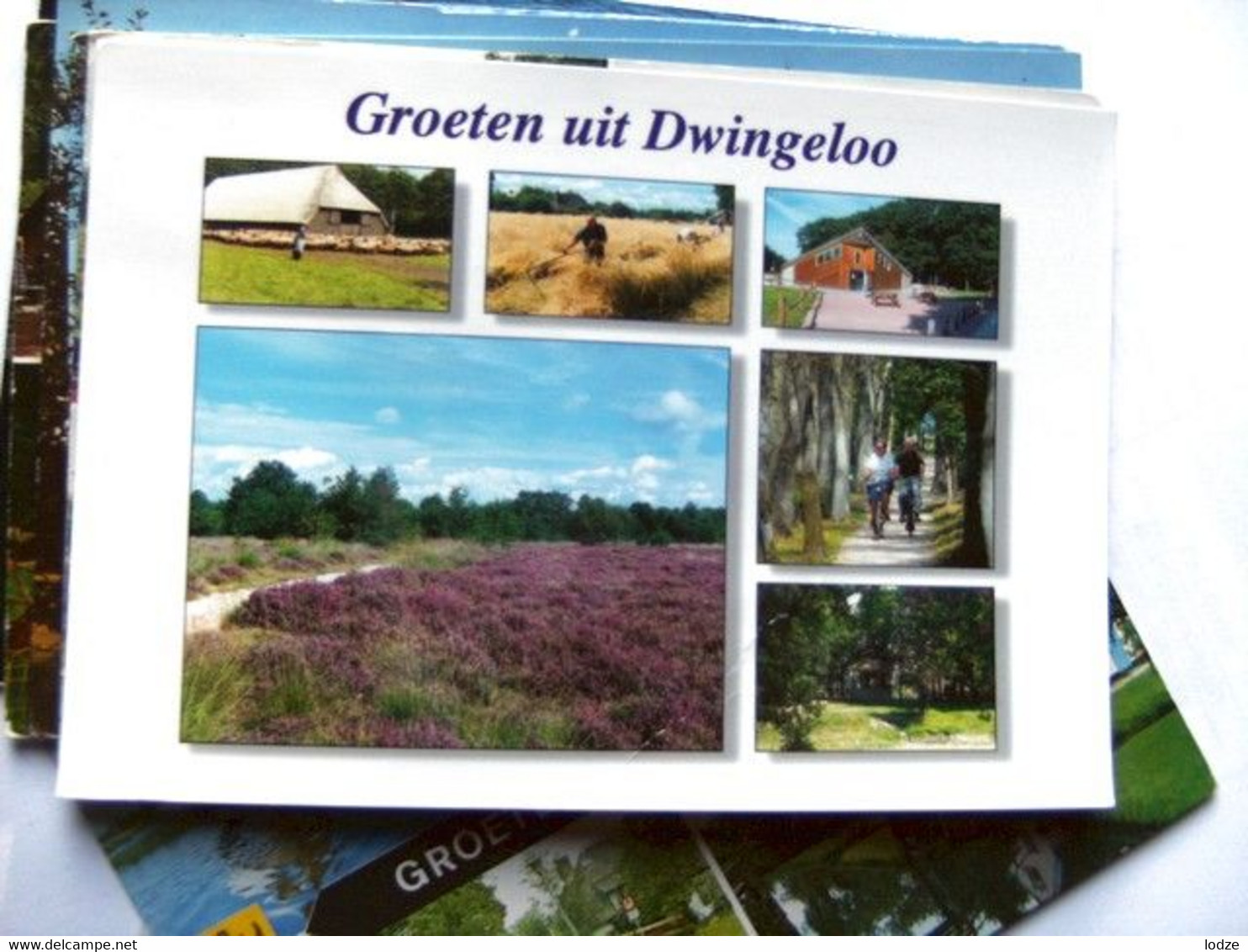 Nederland Holland Pays Bas Dwingeloo Met Fraaie Natuurlijke Omgeving - Dwingeloo