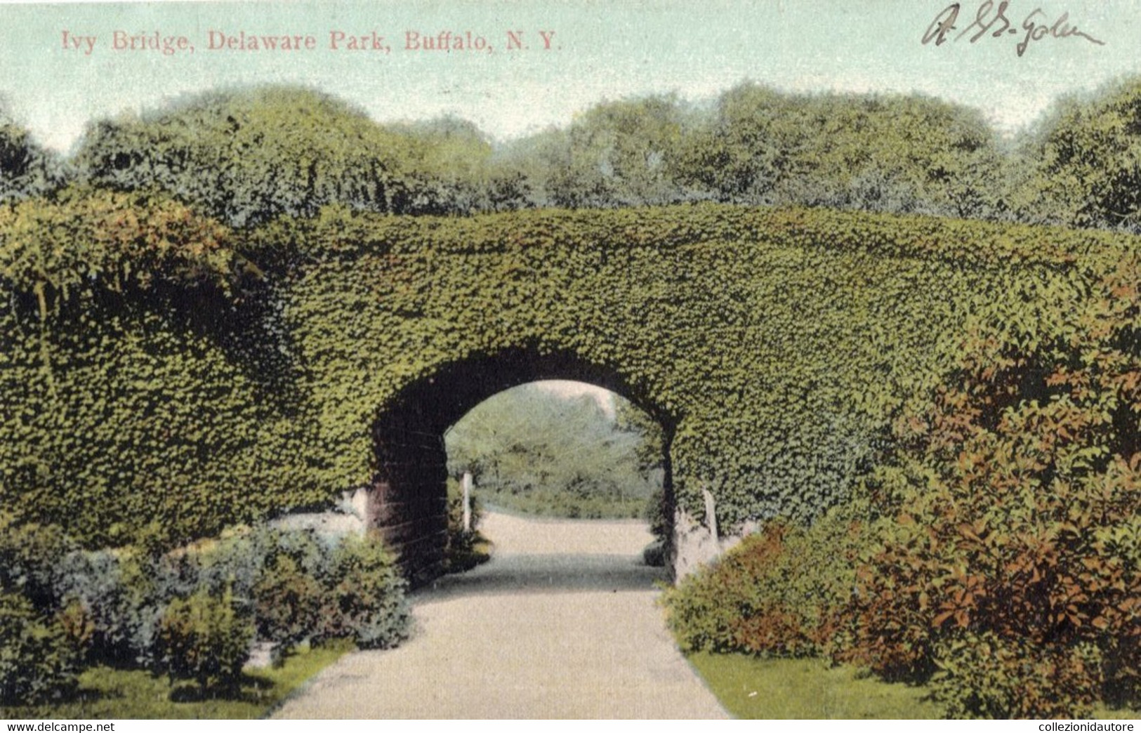 BUFFALO - IVY BRIDGE - DELAWARE PARK - BUFFALLO - N.Y. - CARTOLINA FP SPEDITA NEL 1908 - Buffalo