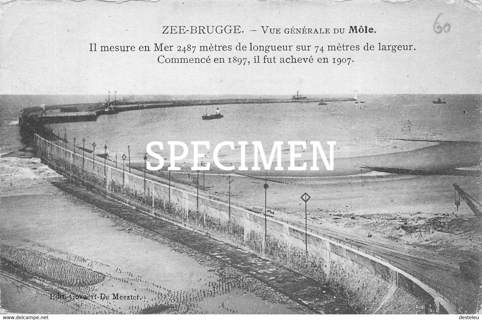 Vue Générale Du Môle - Zeebrugge - Zeebrugge