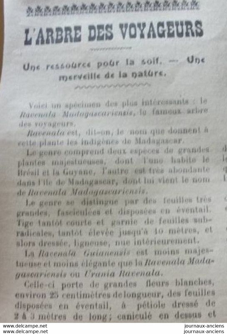 1904 LA FEMME COREENNE - JOUR DE FETE EN BIRMANIE - LA FERIA DE SEVILLE - L'ARBRE DES VOYAGEURS - PECHERIES DE BEHRING