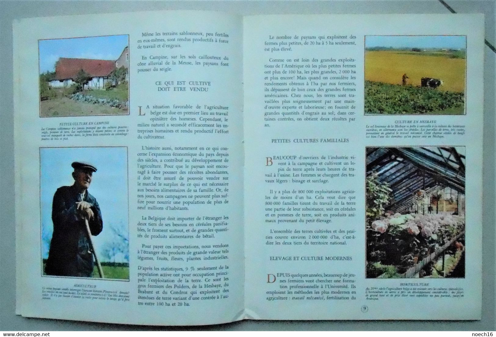 2 Albums chromos complets - La Géographie de la Belgique Tomes 1 & 2 - Timbre Tintin, Editions du Lombard