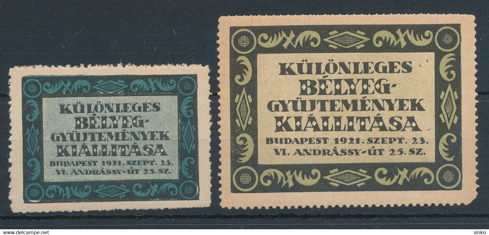 1921. Exhibition Of Special Stamp Collections Budapest! - Foglietto Ricordo