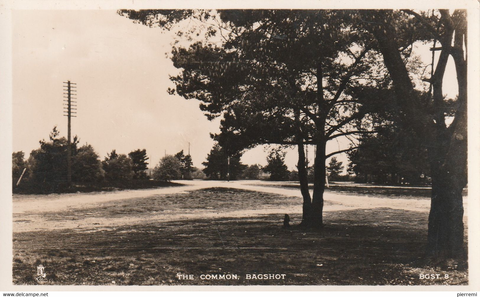 Bagshot   The Common - Surrey