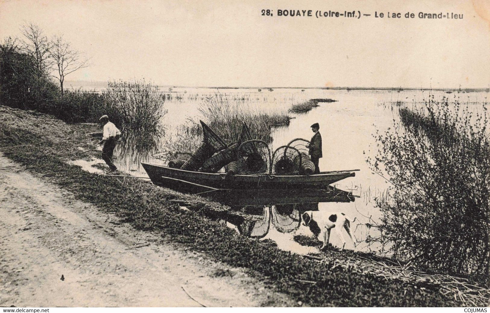 44 - BOUAYE - S08213 - Le Lac De Grand Lieu - L1 - Bouaye