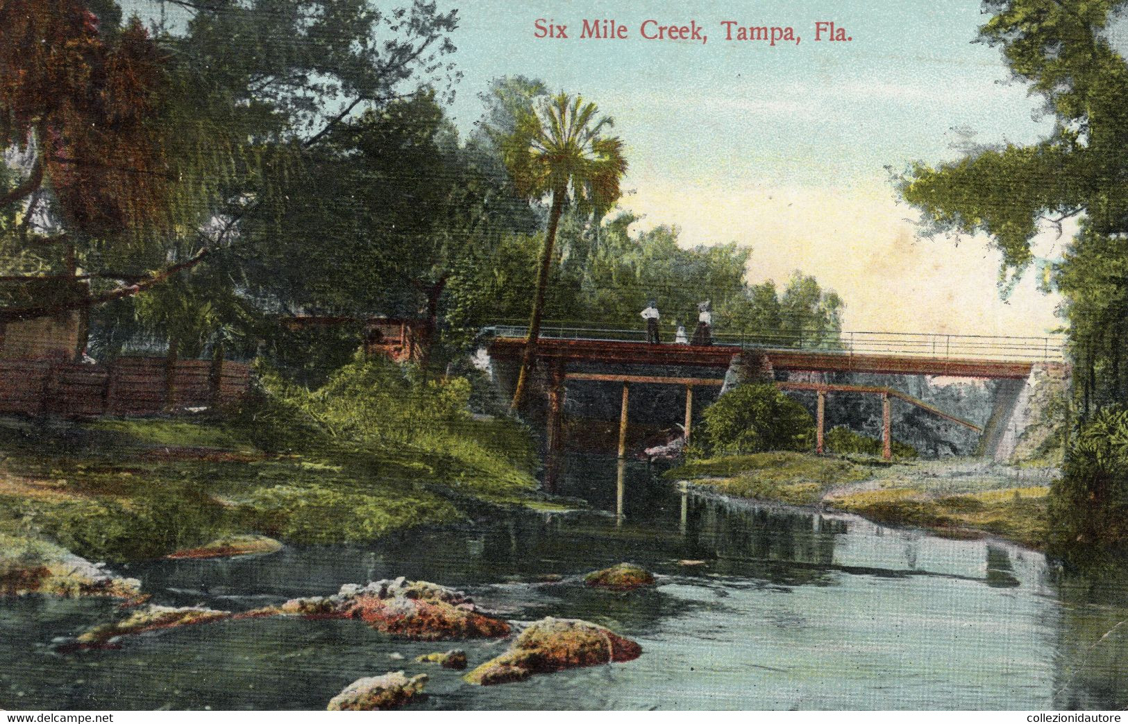 TAMPA  - SIX MILE CREEK - TAMPA - FLA. - CARTOLINA FP NUOVA - Tampa