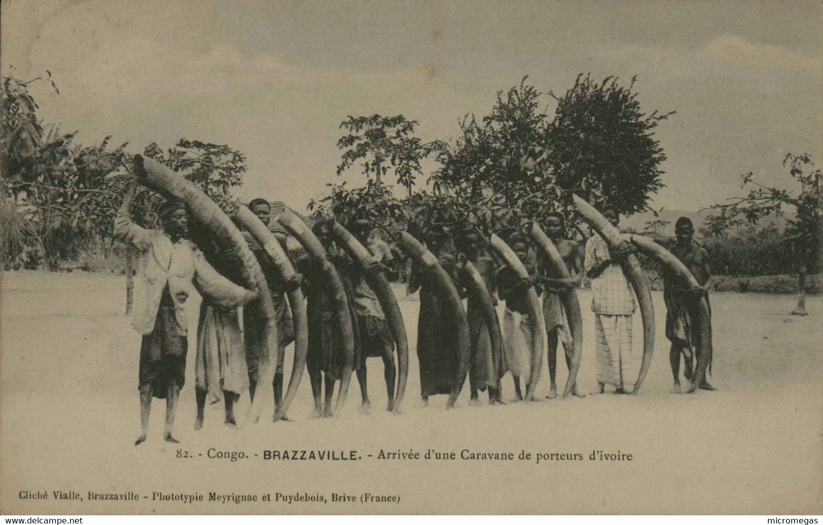 Congo  - BRAZZAVILLE - Arrivée D'une Caravane De Porteurs D'ivoire - Brazzaville