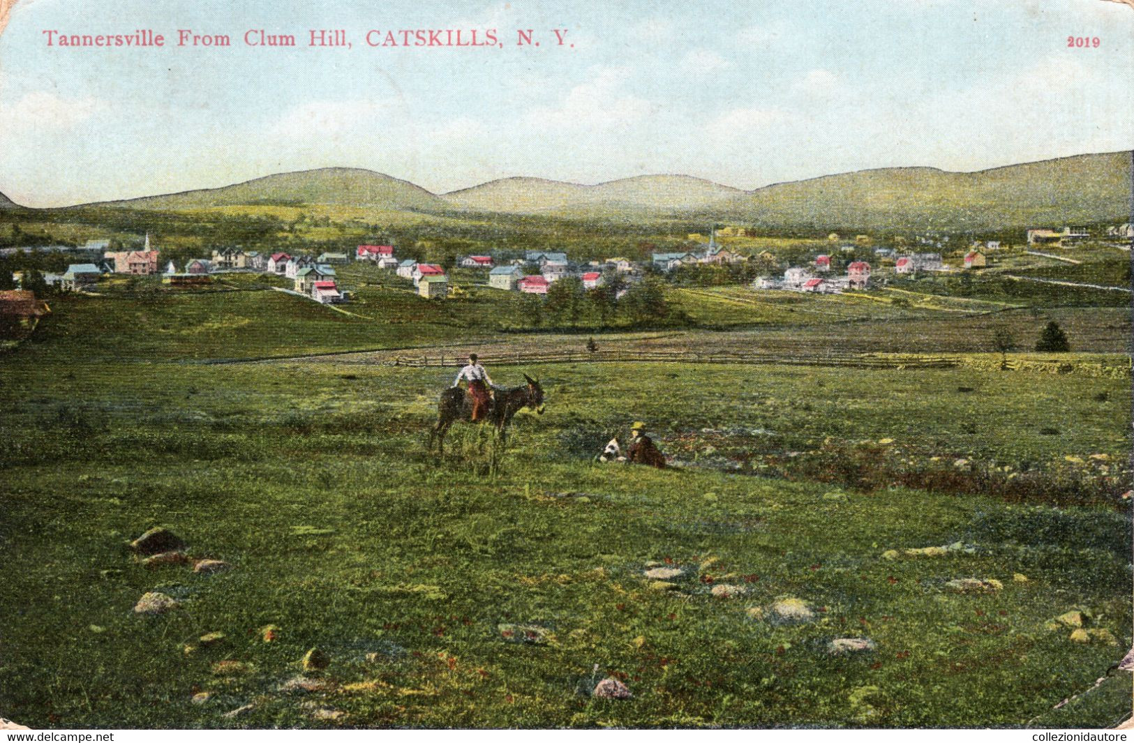 CATSKILLS - TANNERSVILLE FROM CLUM HILL - CATSKILLS - N.Y. - CARTOLINA FP SPEDITA ANNI 10 - Catskills