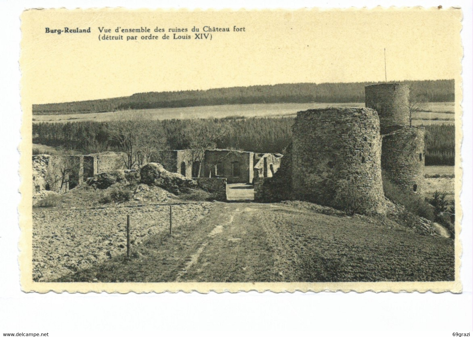 Burg-Reuland - Vue D'ensemble Des Ruines Du Château Fort - Burg-Reuland