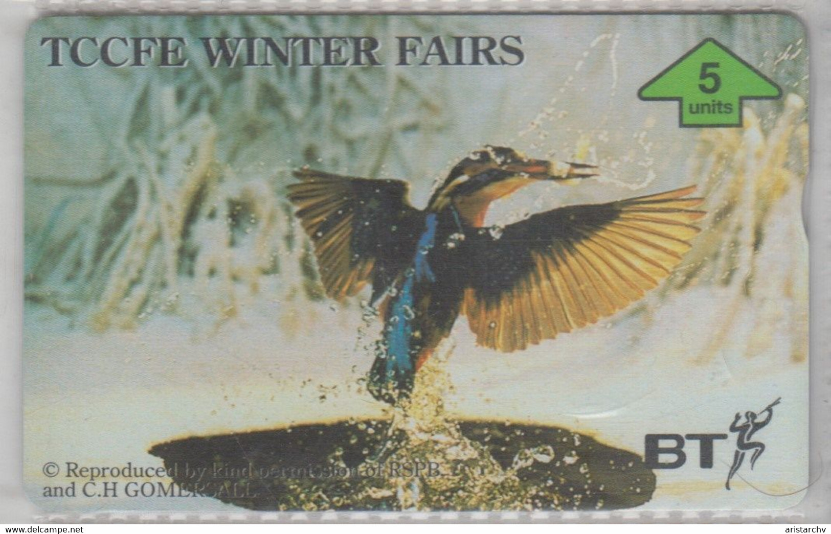 UNITED KINGDOM 1996 BIRDS KINGFISHER TCCFE WINTER FAIRS '96 - Passereaux