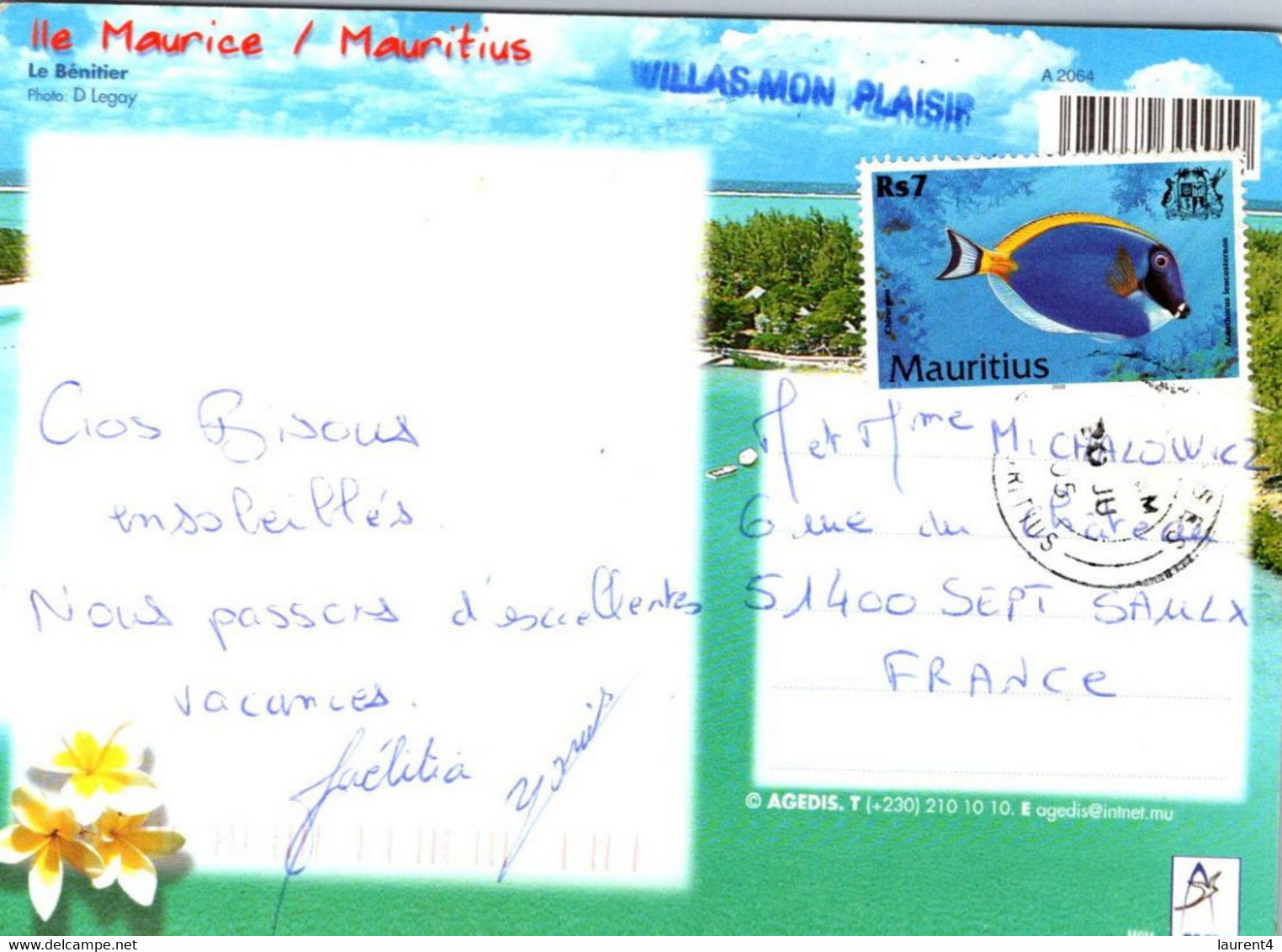 (1 Oø 11) Ile Maurice / Mauritius Island - Le Benitier (posted To France 1980 ? Fish Stamp) - Maurice
