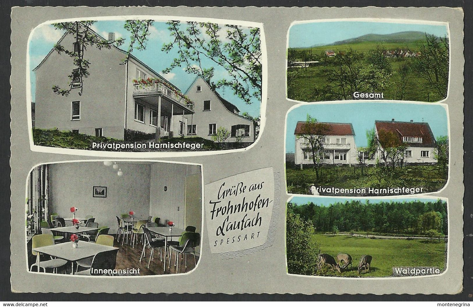 FROHNHOFEN - Pension " Harnischfeger "- Postcard (see Sales Conditions) 07362 - Kusel