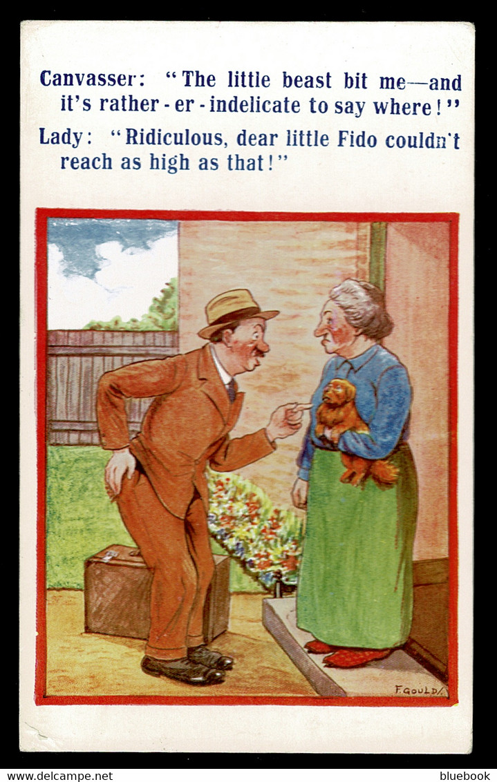 Ref 1592 - Comic Postcard - Lady To Canvasser Bitten By Dog "Little Fido Couldn't Reach" - Bandes Dessinées