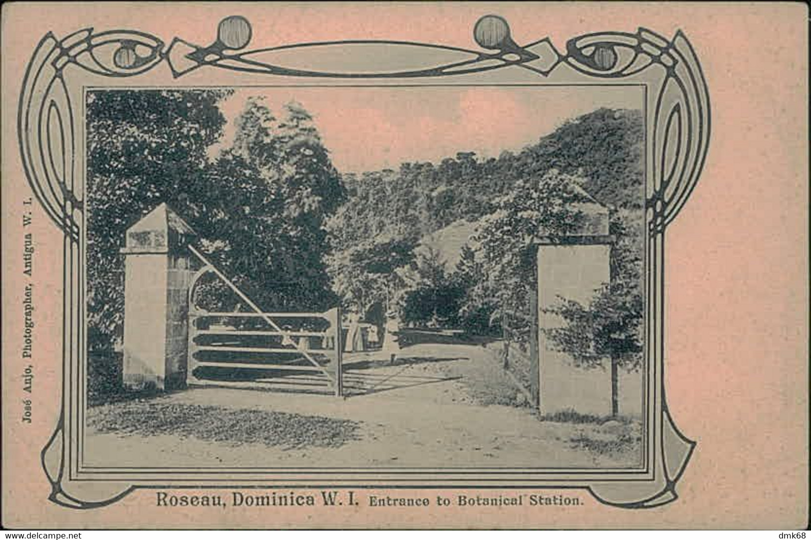 DOMINCA -  WEST INDIES - ROSEAU - ENTRANCE TO BOTANICAL STATION - PHOTO JOSE ANJO - 1900s (15741) - Dominique