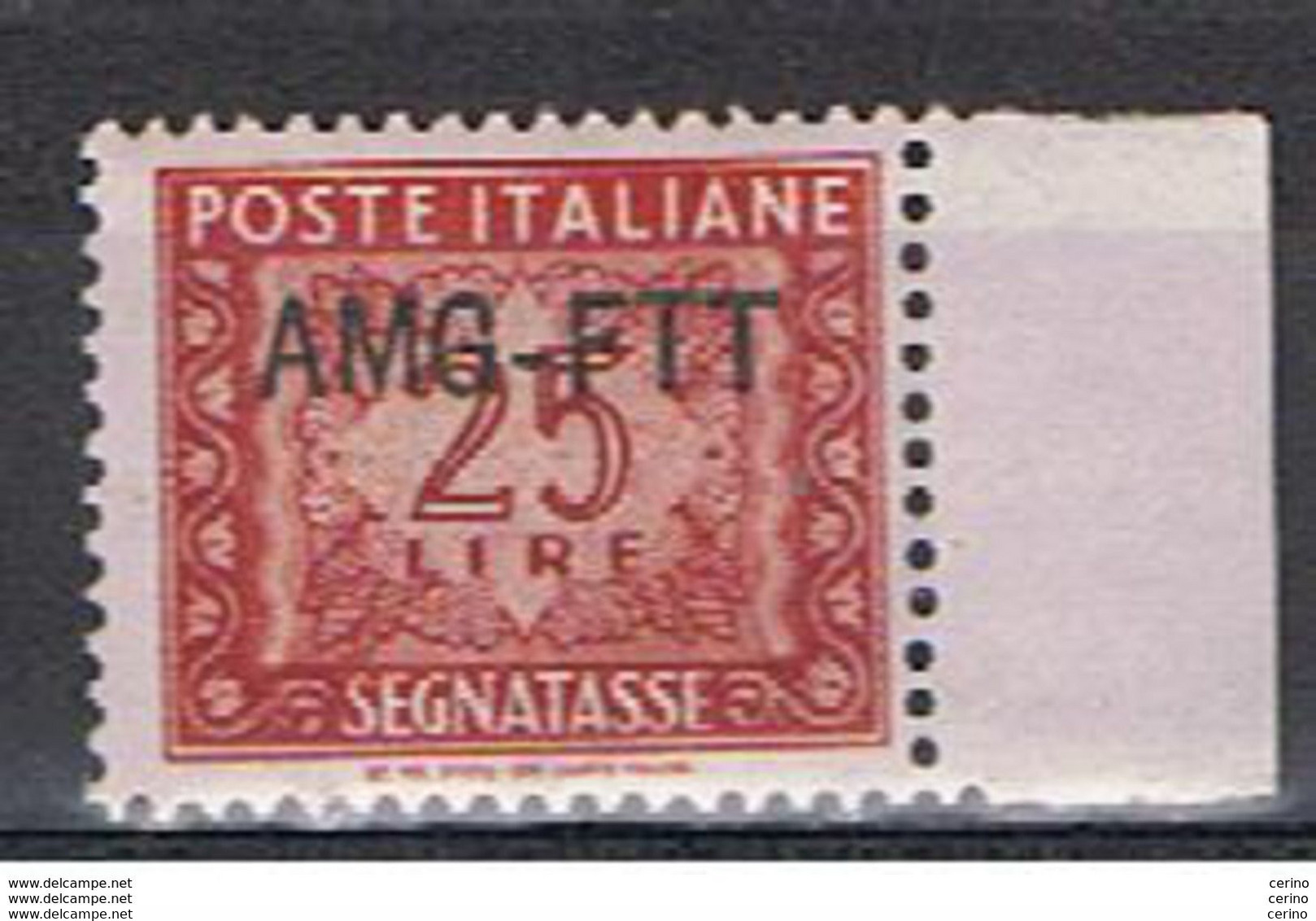 TRIESTE  A:  1952/54  TASSE  FIL. R. III°  -  £. 25  ROSSO  BRUNO  N. -  SASS. 25 - Postage Due