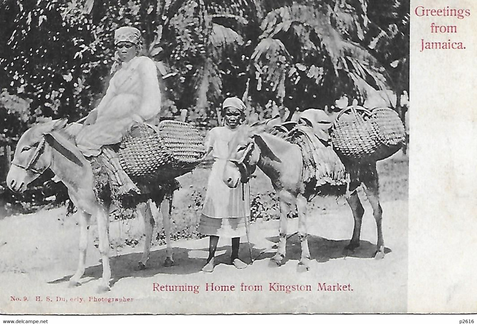 JAMAIQUE -  1907 -  GREETINGS FROM JAMAICA -  RETURNING HOME FROM KINGSTON MARKET - Jamaica