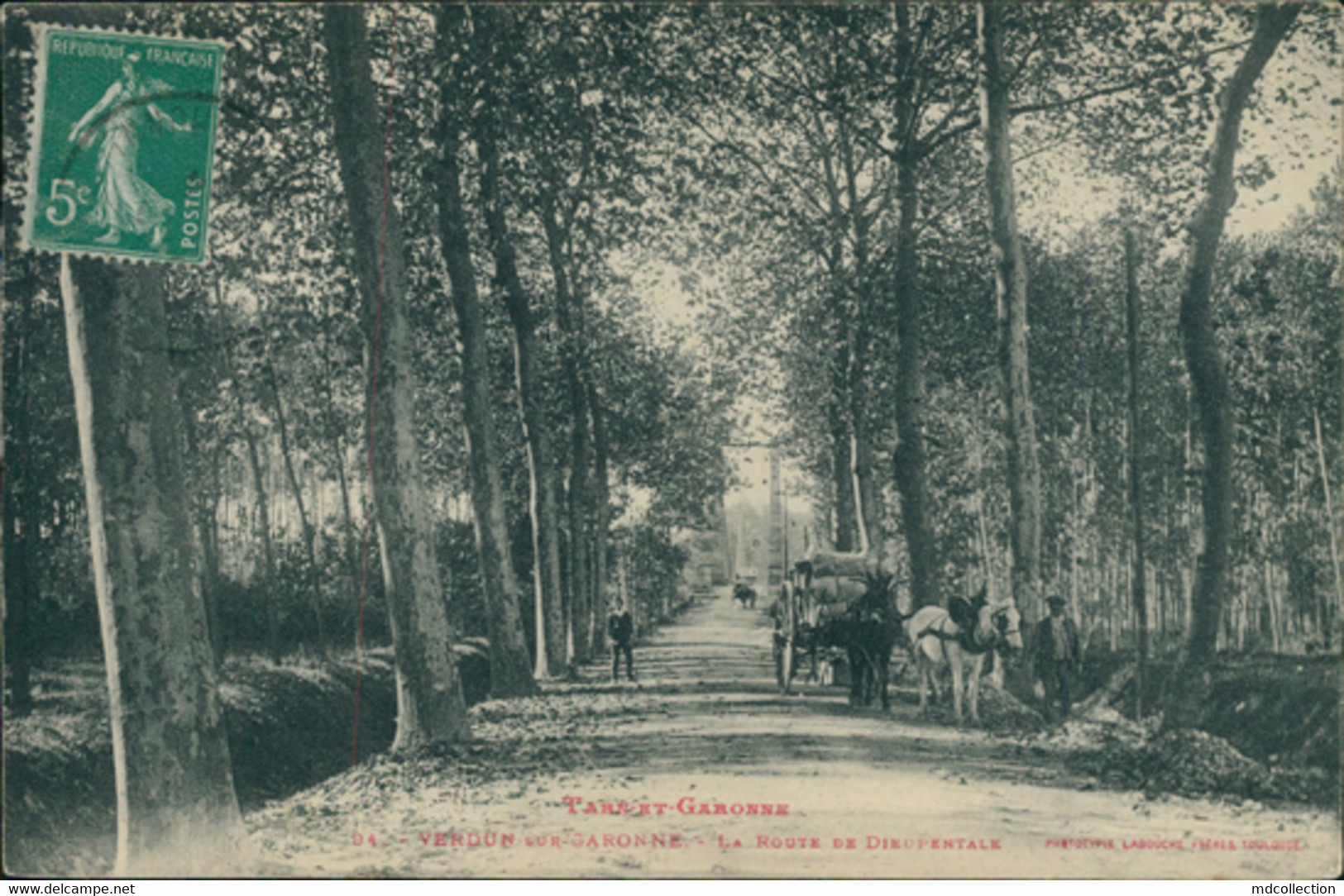 82 VERDUN SUR GARONNE / La Route De Dieupentale / CARTE ANIMEE - ATTELAGE - Verdun Sur Garonne