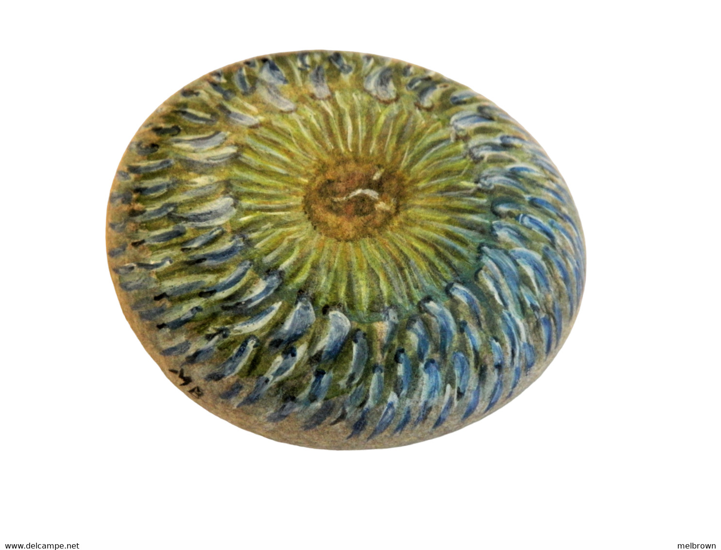 Sea Anemone Hand Painted On Smooth Beach Stone Paperweight - Piedras Y Mármoles