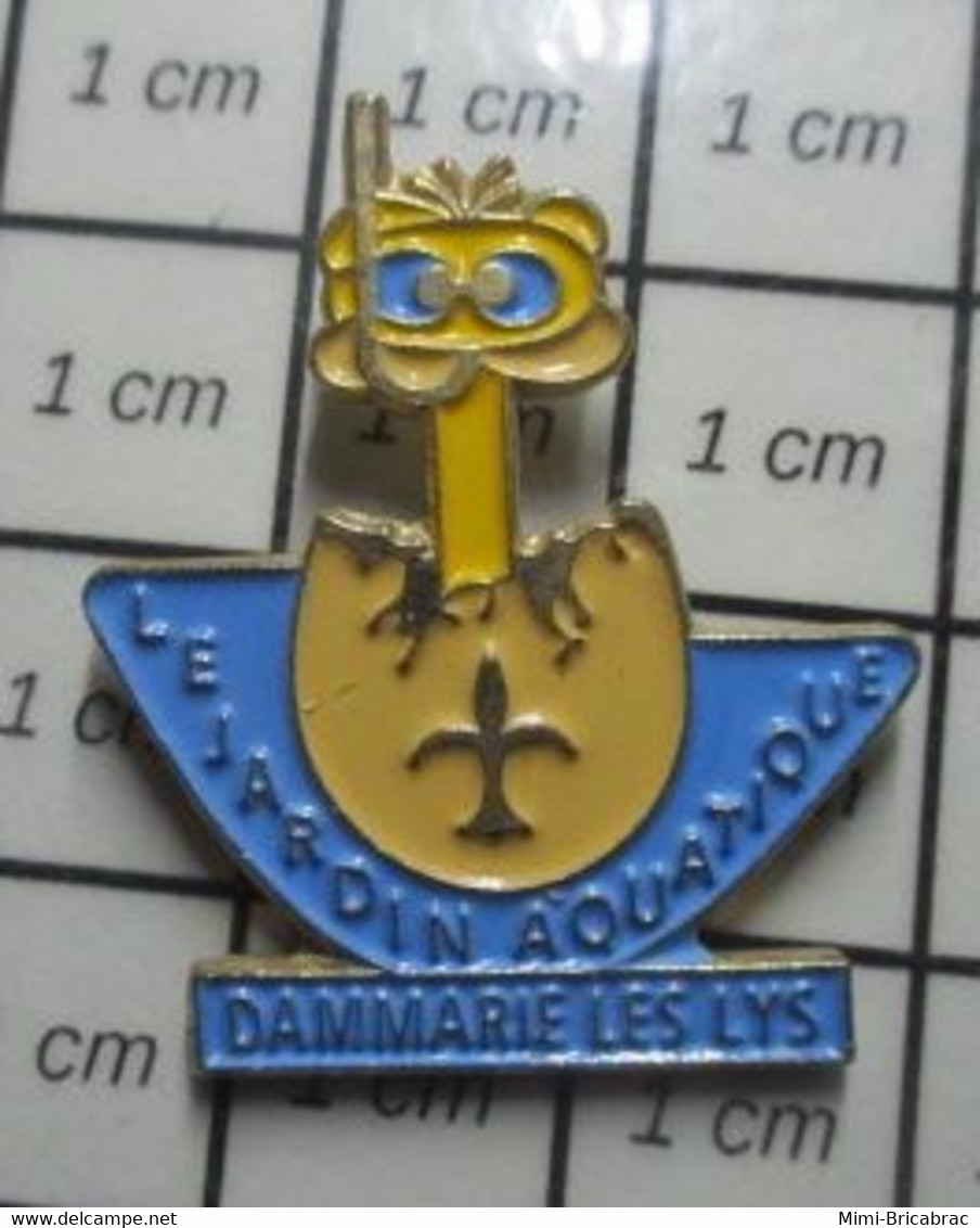 1018c Pin's Pins / Beau Et Rare / SPORTS / NATATION DAMMARIE LES LYS JARDIN AQUATIQUE CANARD CANETON OEUF TUBA - Natation