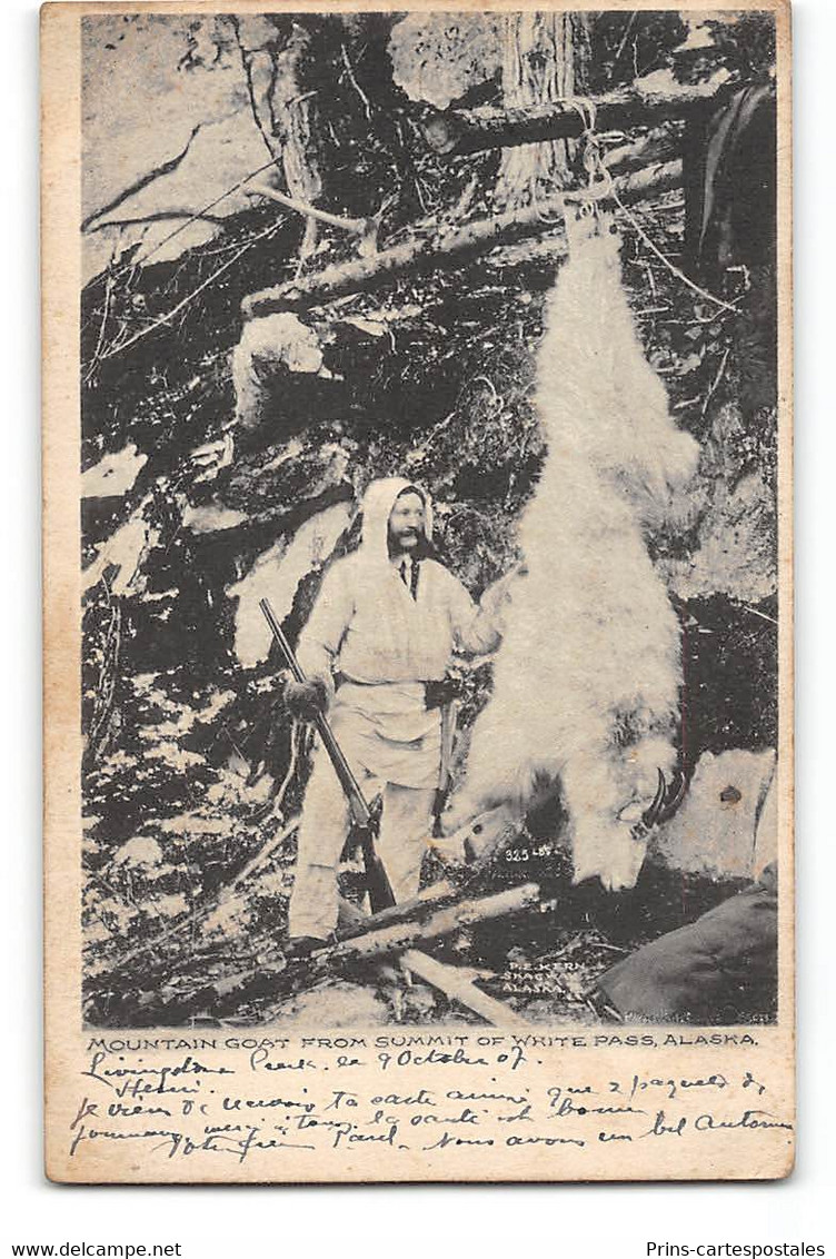 CPA Mountain Goat From Summit Of White Pass - Alaska - Chasse Hunting - Autres & Non Classés