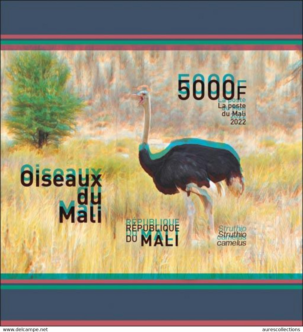 MALI 2022 IMPERF ERROR TRIAL PROOF SOUVENIR SHEET BLOC - OSTRICH AUTRUCHE AUTRUCHES - BIRDS OF MALI OISEAUX - RARE MNH - Autruches