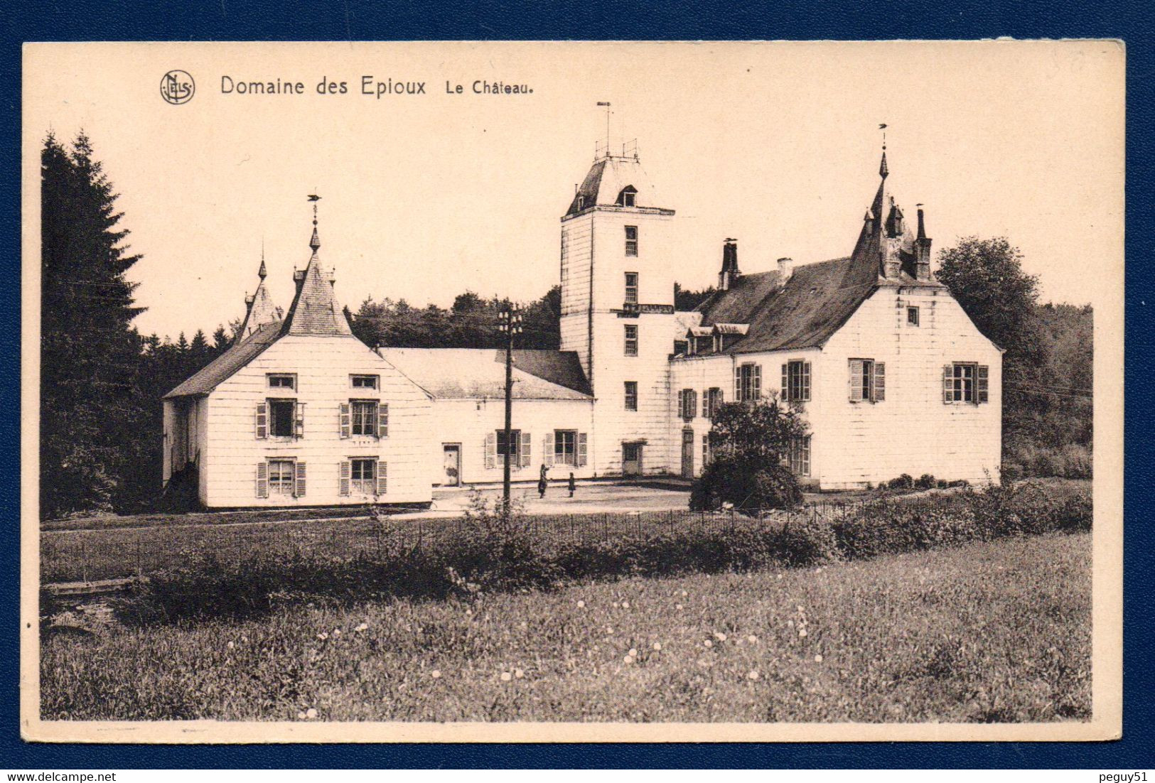 Domaine Des Epioux ( Florenville). Château. (Prince Pierre Napoléon, Louis Zoude Et Victor Dejardin) - Florenville