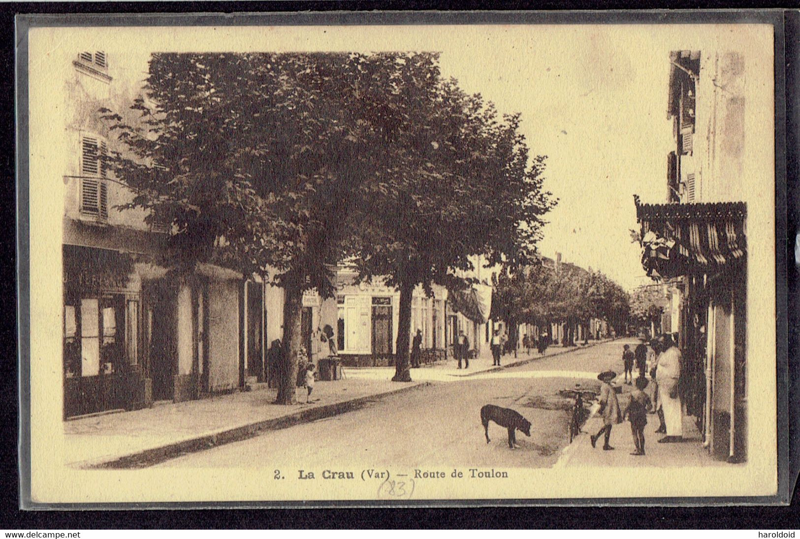 CPA 83 - LA CRAU - ROUTE DE TOULON - La Crau