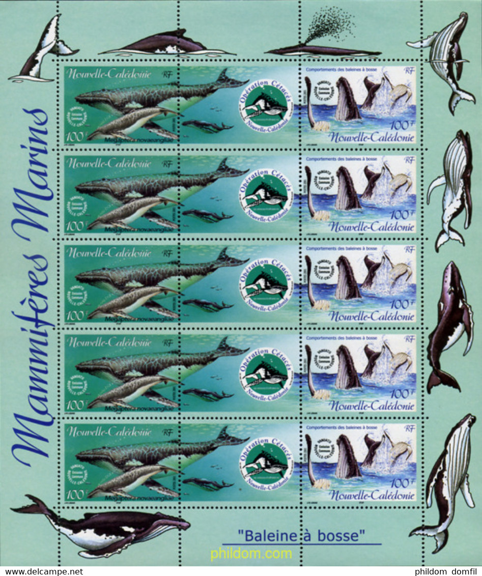 8576 MNH NUEVA CALEDONIA 2001 OPERACION CETACEOS - Used Stamps