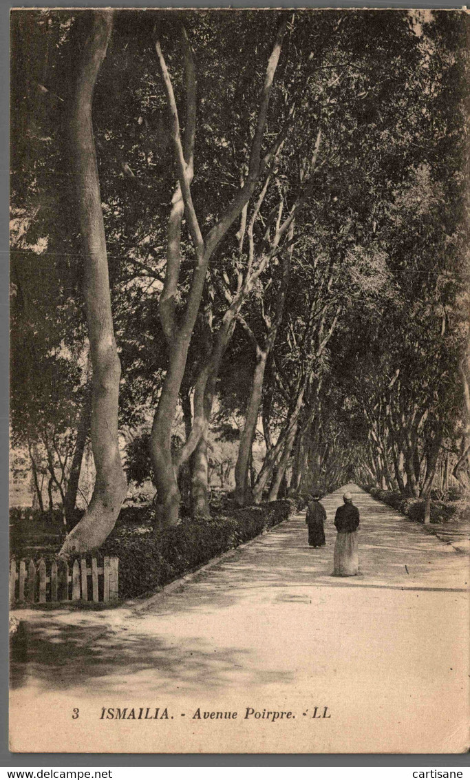 ISMAILIA (Egypte) - Avenue Poirpre (LL.) - Ismailia