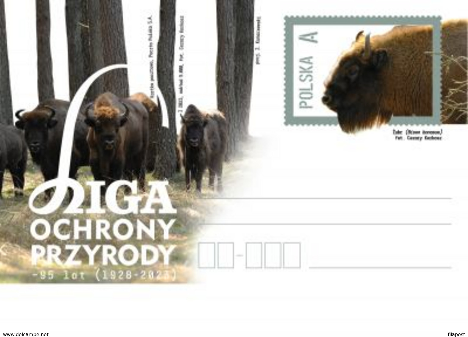 Poland 2023 / Nature Protection League - Bison, Bisons Animals, Forest / Postcard New!!! - Taureaux
