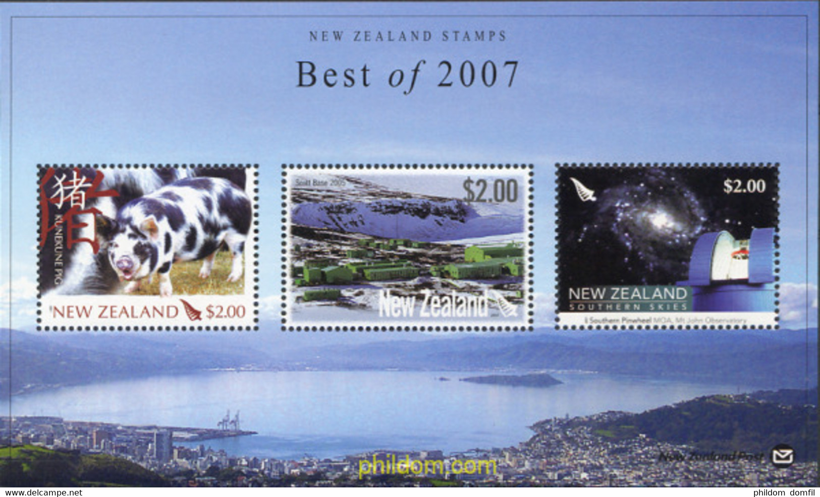 275063 MNH NUEVA ZELANDA 2007 AÑO LUNAR CHINO - AÑO DEL CERDO - Variétés Et Curiosités