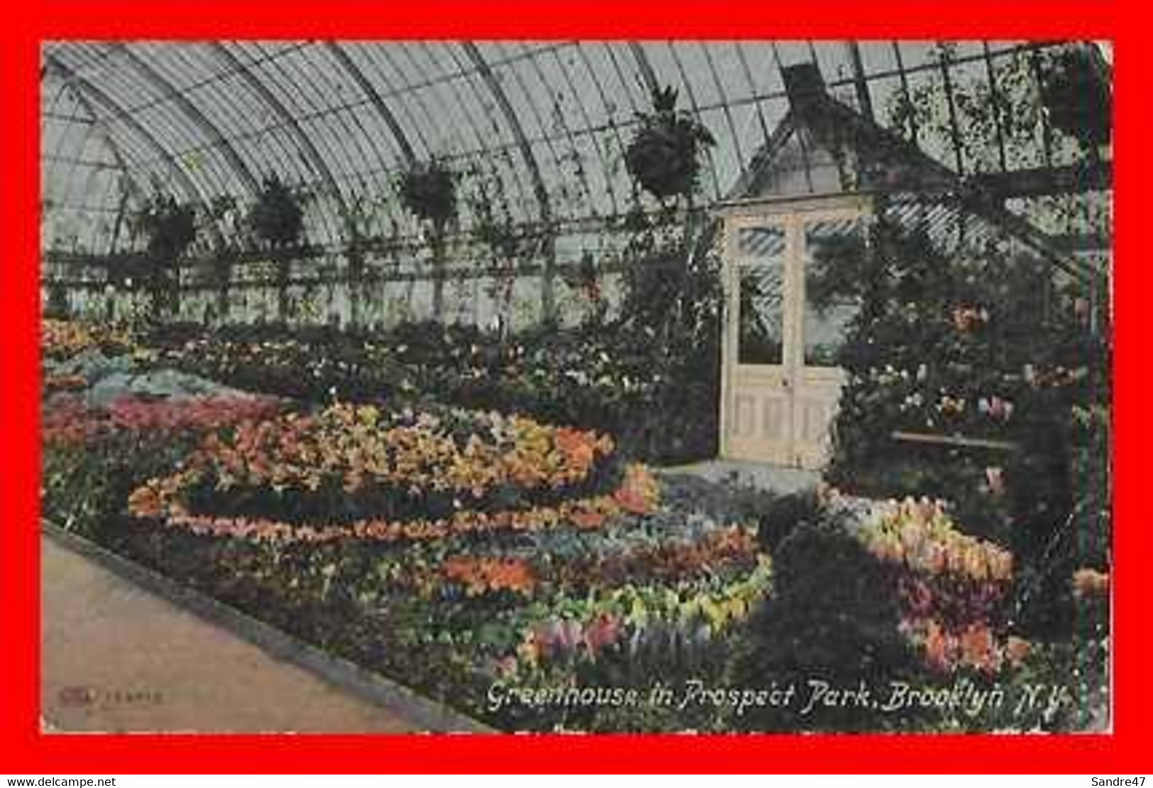 CPA NEW YORK (Etats-Unis)  Greenhouse In Prospect Park...P943 - Brooklyn