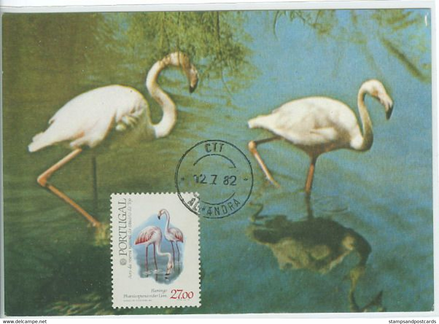 Portugal Oiseau Flammant Rose Carte Maximum 1982 Flamingo Bird Maxicard - Flamingos